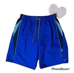 Nike Men's Blue Swim Shorts